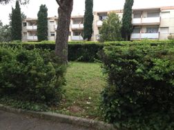 Photo n°4