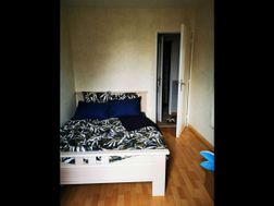 Photo n°6