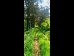 Photo n°15