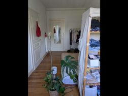 Photo n°2