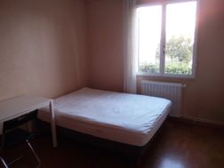 Photo n°2