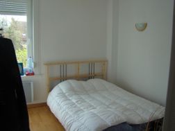 Photo n°3