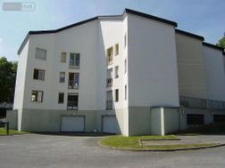 Photo n°5
