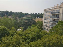 Photo n°8