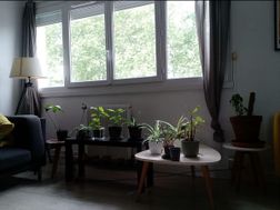 Photo n°3