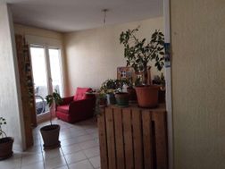 Photo n°1