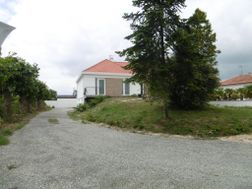 Photo n°1