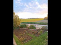 Photo n°1