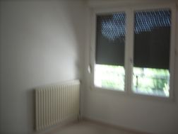 Photo n°6
