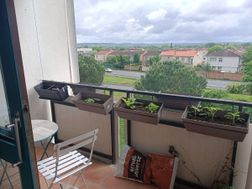 Photo n°15