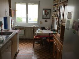 Photo n°8