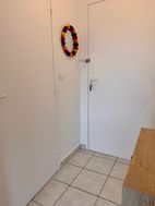 Photo n°4