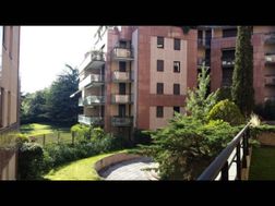 Photo n°1