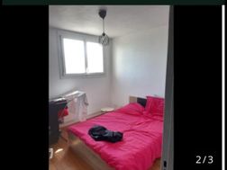 Photo n°2
