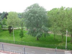 Photo n°4