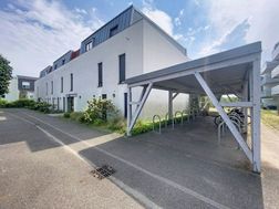 Photo n°3