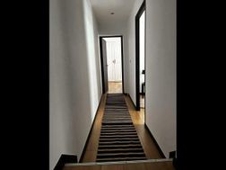 Photo n°6