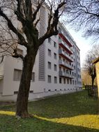 Photo n°2