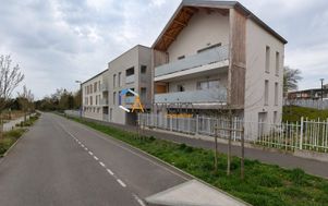 Photo n°1