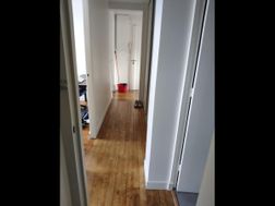 Photo n°6