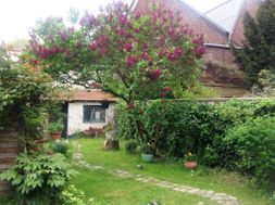 Photo n°4