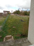 Photo n°6