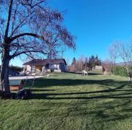 Photo n°5
