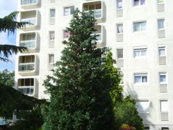 Photo n°2