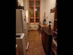 Photo n°7