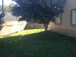 Photo n°2