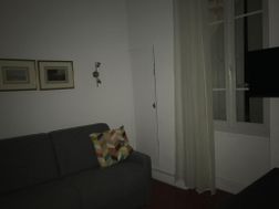 Photo n°1