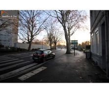 Photo n°4