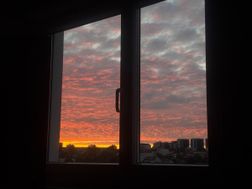 Photo n°8