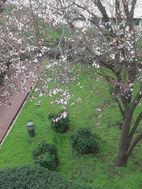 Photo n°6