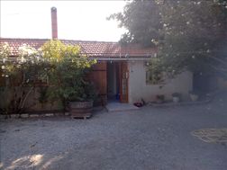 Photo n°2