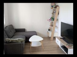 Photo n°3