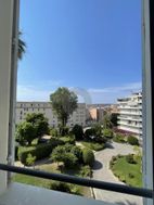 Photo n°5