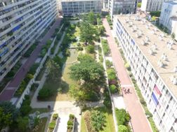 Photo n°6