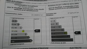 Photo n°7