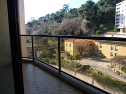 Photo n°5