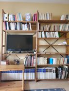 Photo n°6