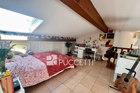 Photo n°6