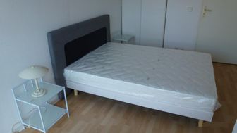 Photo n°4