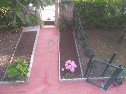 Photo n°5