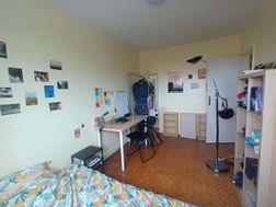 Photo n°1