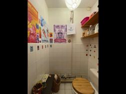Photo n°8
