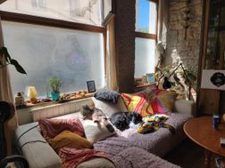 Photo n°5