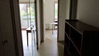 Photo n°6