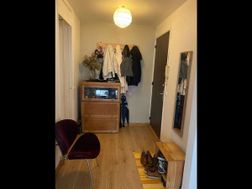Photo n°4