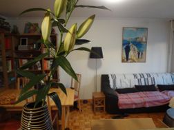 Photo n°4